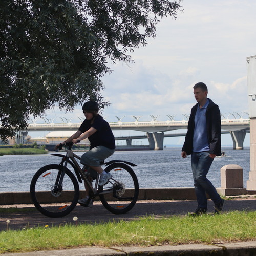 Photo #13777791