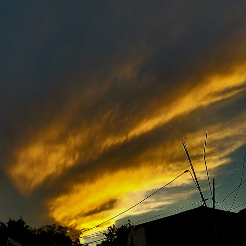 Photo #13777880