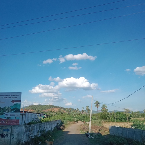 Photo #13777883