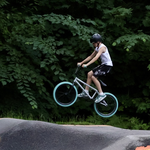 Photo #13777900