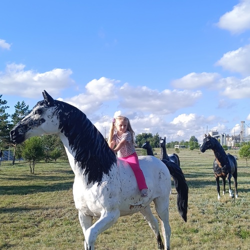 Photo #13777924