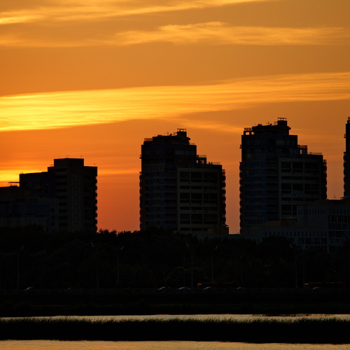 Photo #13778008