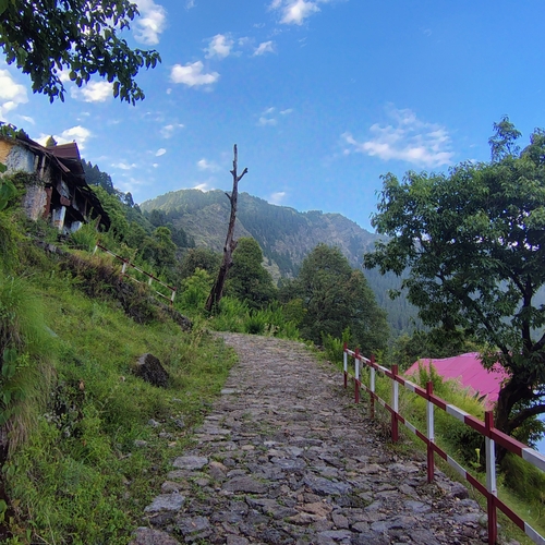 Photo #13778017