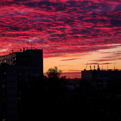 Photo #13778018