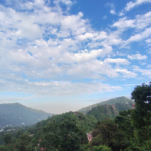 Photo #13778021