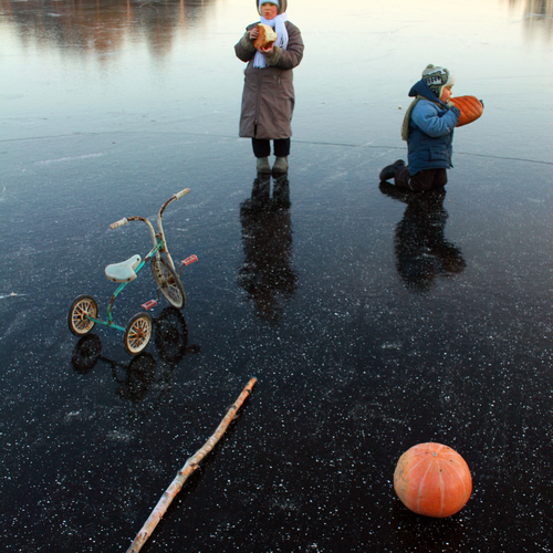 Photo #13778035
