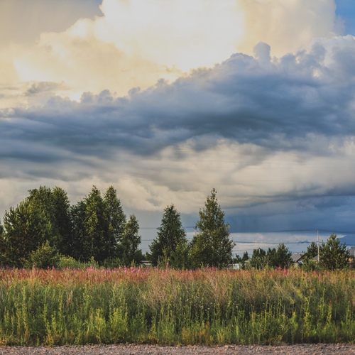 Photo #13778069