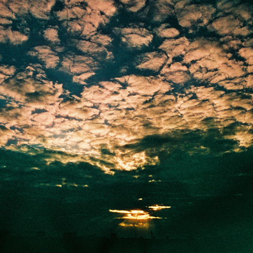 Photo #13778108