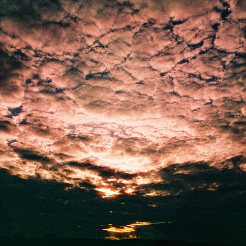 Photo #13778110