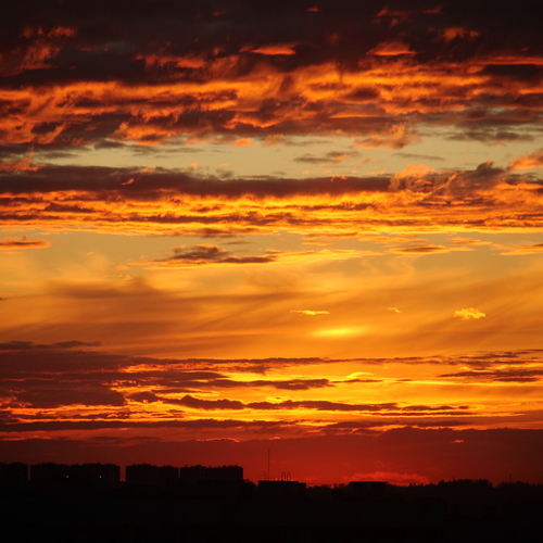 Photo #13778147