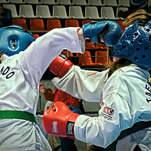 Photo #13778149