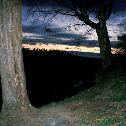 Photo #13778165