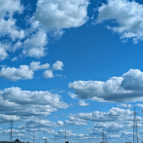 Photo #13778281