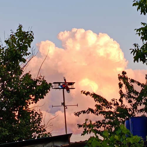 Photo #13778308