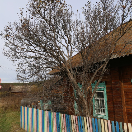 Photo #13778313