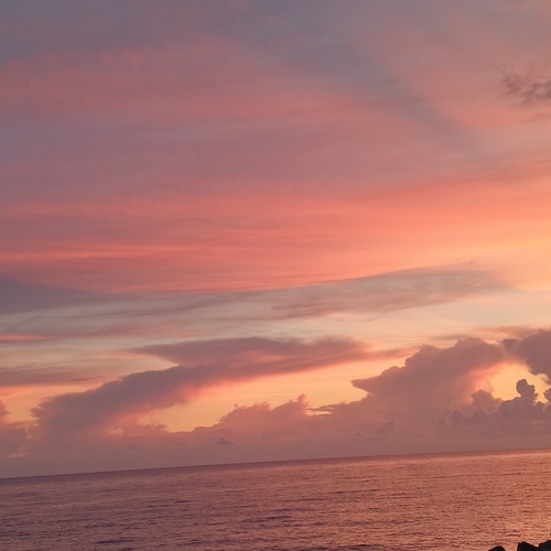 Photo #13778319