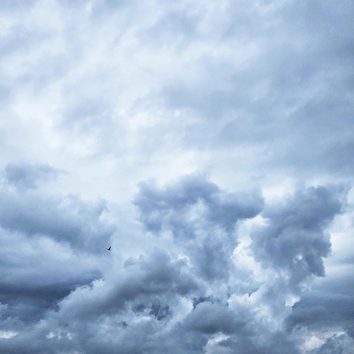 Photo #13778357