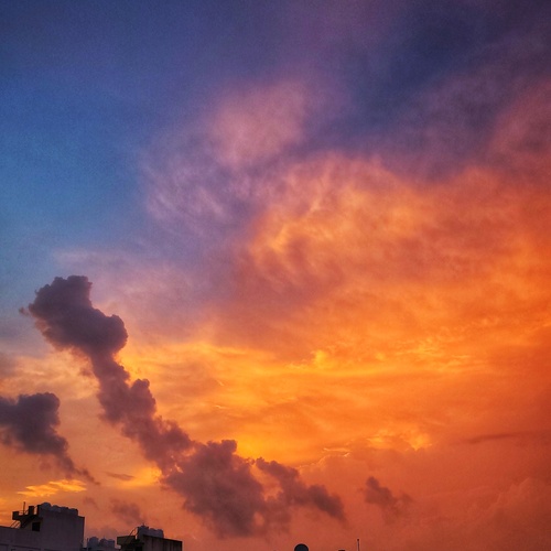 Photo #13778360