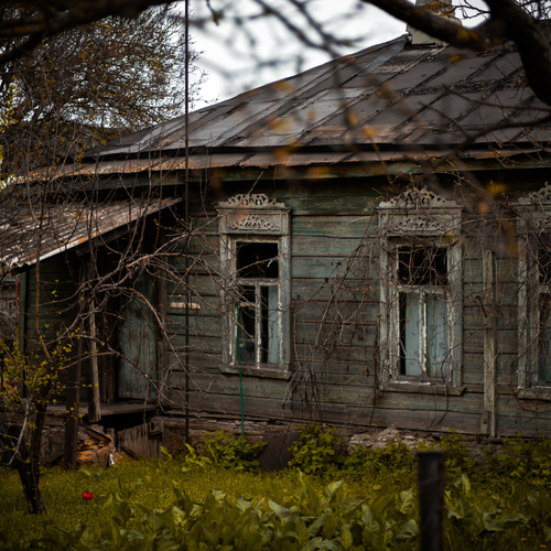 Photo #13778364