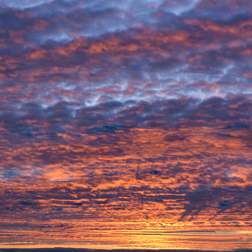 Photo #13778366