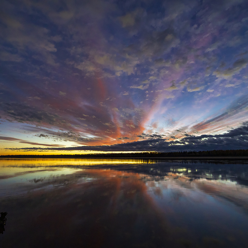 Photo #13778468