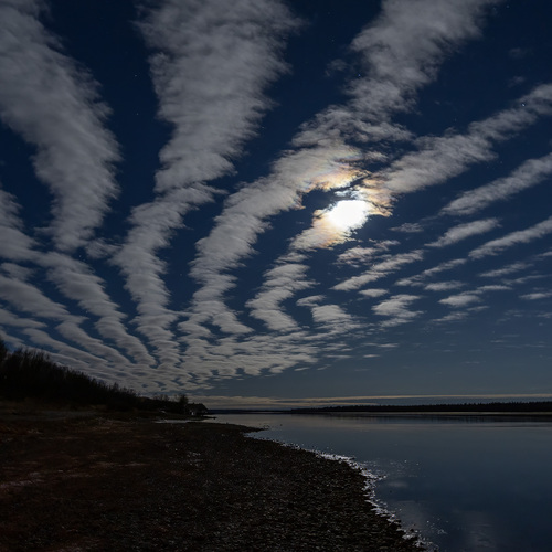 Photo #13778472