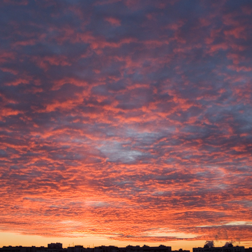Photo #13778474