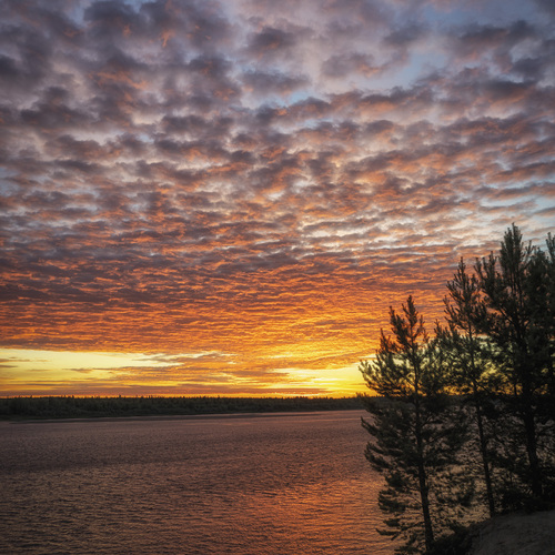 Photo #13778495