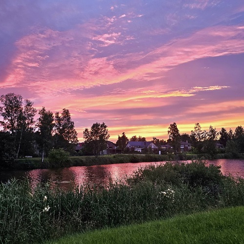 Photo #13778500