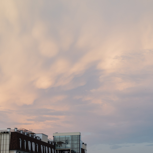 Photo #13778507