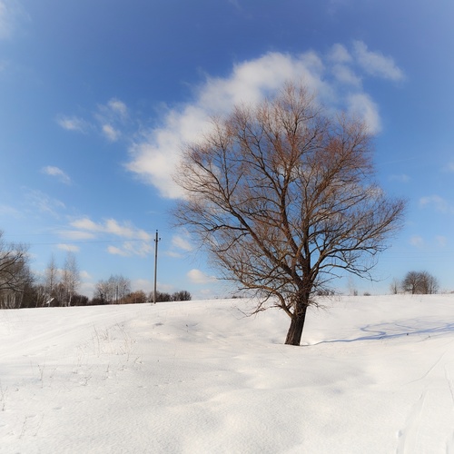 Photo #13778513