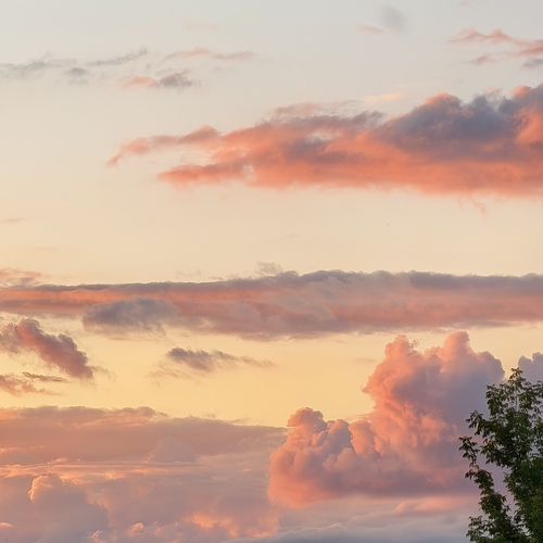 Photo #13778530