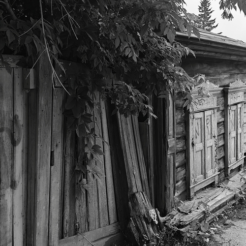 Photo #13778572