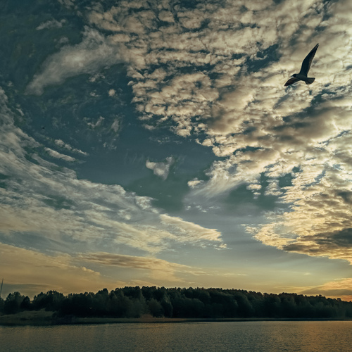 Photo #13778576