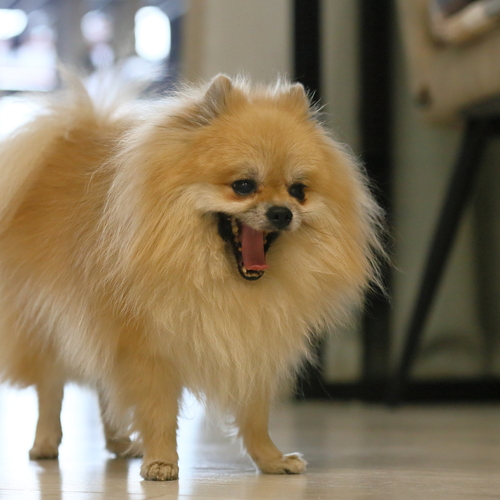 Photo #13778579