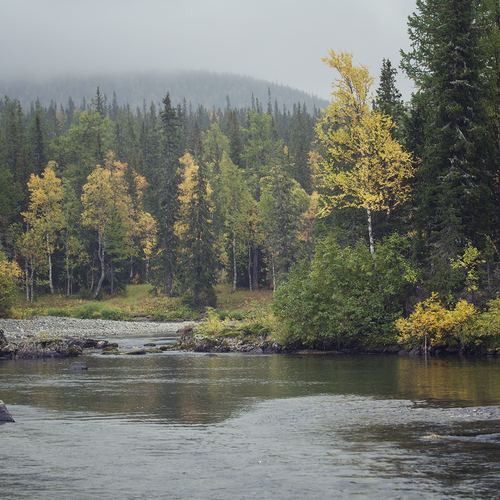 Photo #13778580