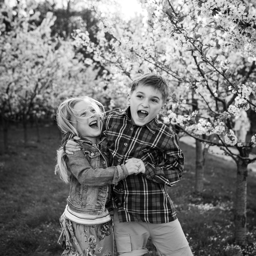 Photo #13778582
