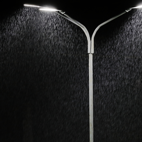 Photo #13778587