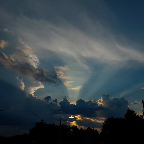 Photo #13778622