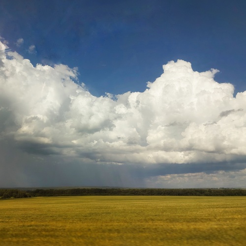 Photo #13778624