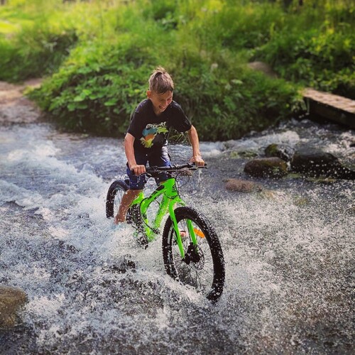 Photo #13778650