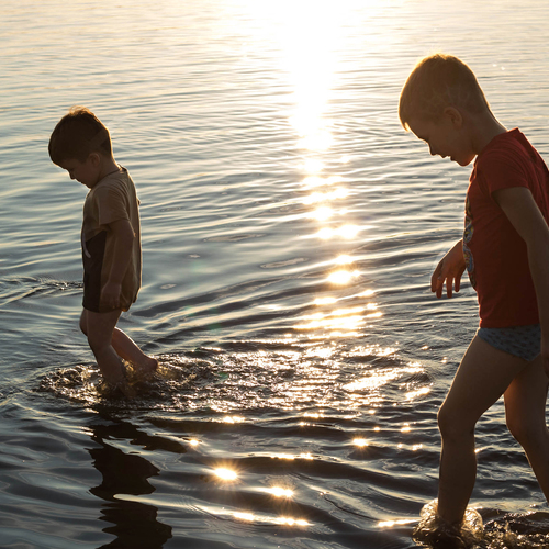 Photo #13778663