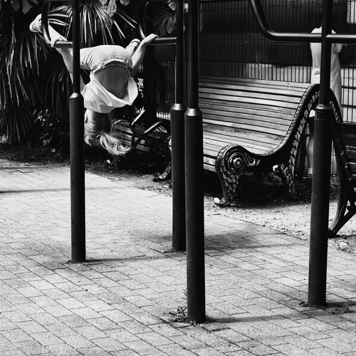 Photo #13778675