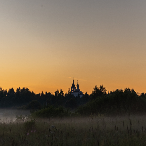 Photo #13778678