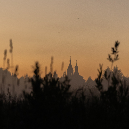 Photo #13778682