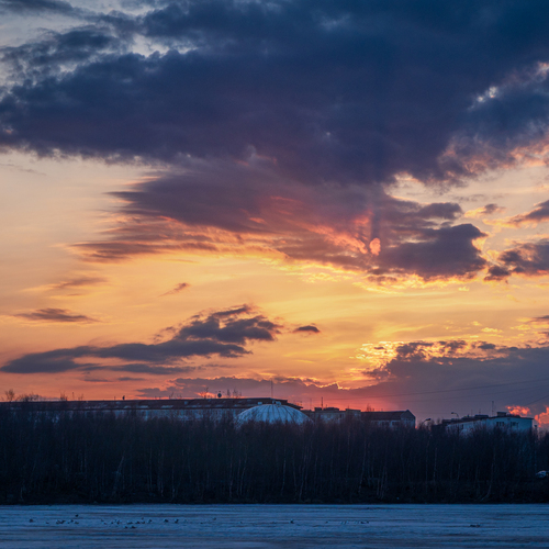 Photo #13778686