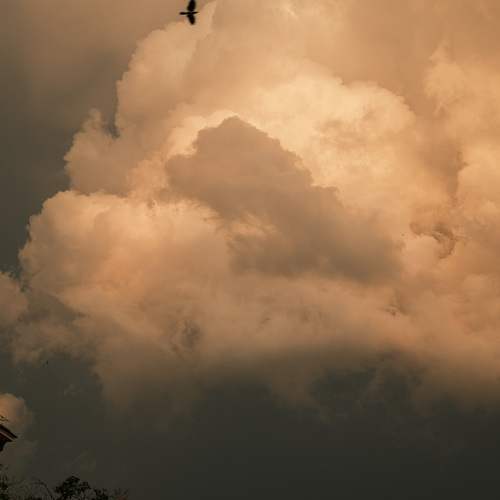 Photo #13778688