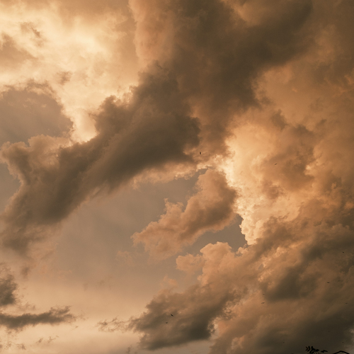 Photo #13778690