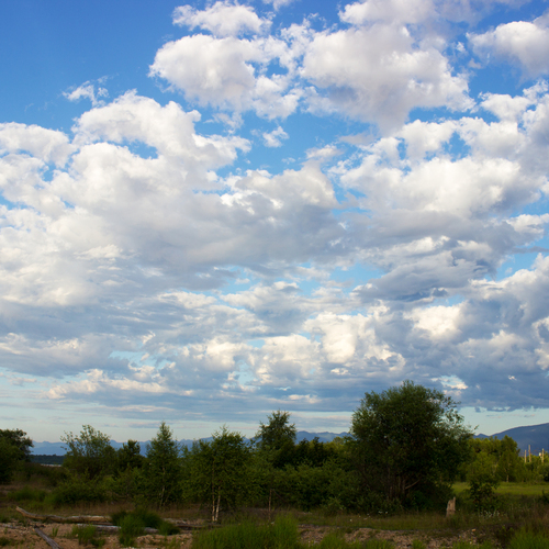Photo #13778824