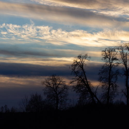 Photo #13778912